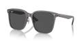 Ray-Ban RB2206D  Sunglasses