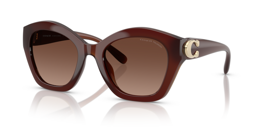 Coach HC8421U Cad31 Sunglasses
