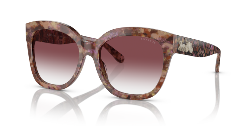 Coach HC8264 L1083 Sunglasses