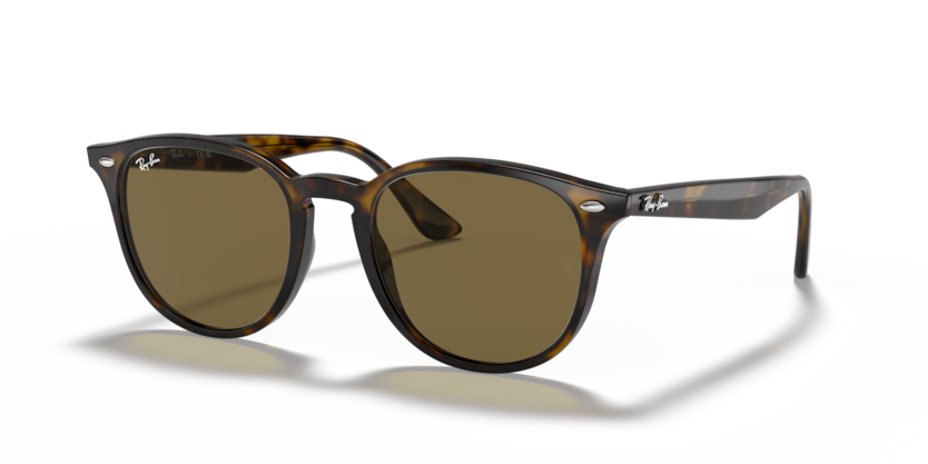 Ray-Ban RB4259  Sunglasses