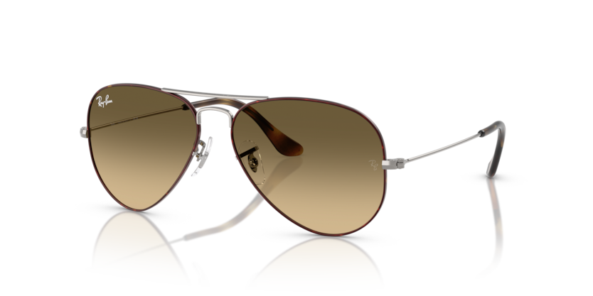 Ray-Ban RB3025 Aviator Sunglasses