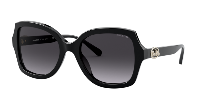 Coach HC8295 L1147 Sunglasses
