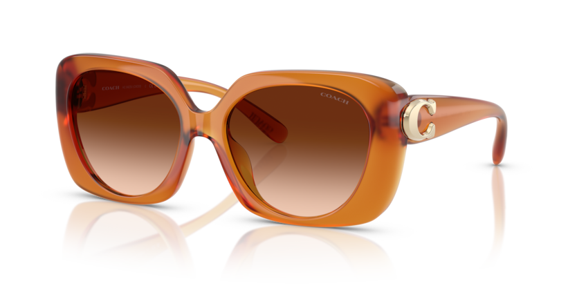Coach HC8422U Cad33 Sunglasses