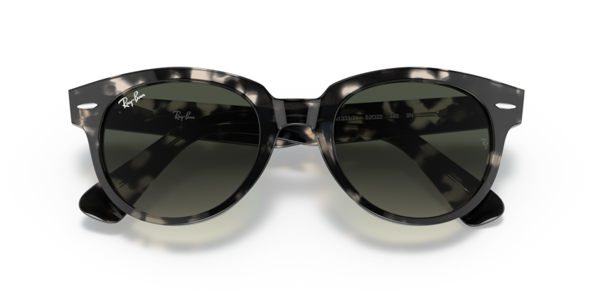 Ray-Ban RB2199 Orion Sunglasses