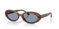 Ray-Ban RB2223  Sunglasses