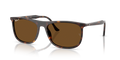 Ray-Ban RB2216F  Sunglasses