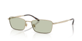 Ray-Ban RB8069D  Sunglasses