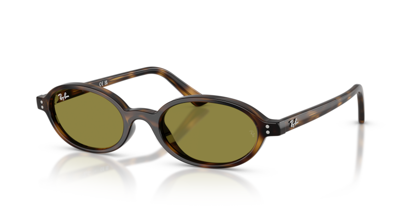 Ray-Ban RB4472  Sunglasses