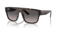 Ray-Ban RB0360S Drifter Sunglasses