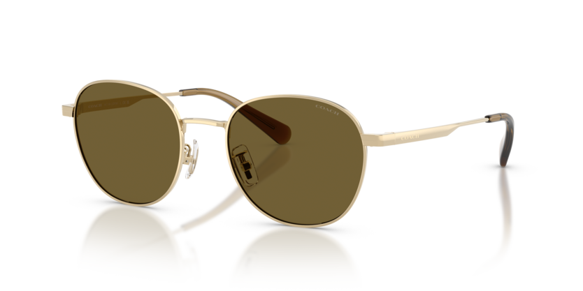 Coach HC7191 Cdp36 Sunglasses