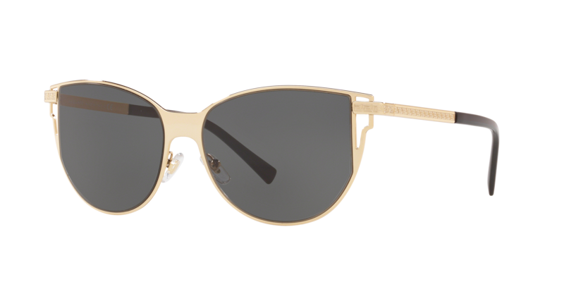 Versace VE2211  Sunglasses