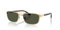 Ray-Ban RB3778  Sunglasses