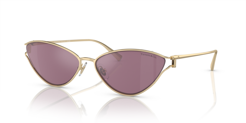 Tiffany TF3095  Sunglasses