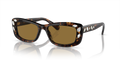 Swarovski SK6008  Sunglasses