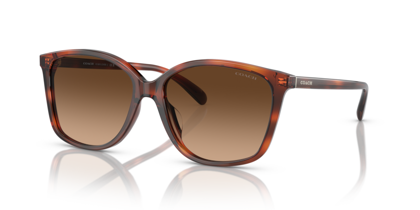 Coach HC8361U Ch558 Sunglasses