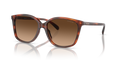 Coach HC8361U Ch558 Sunglasses