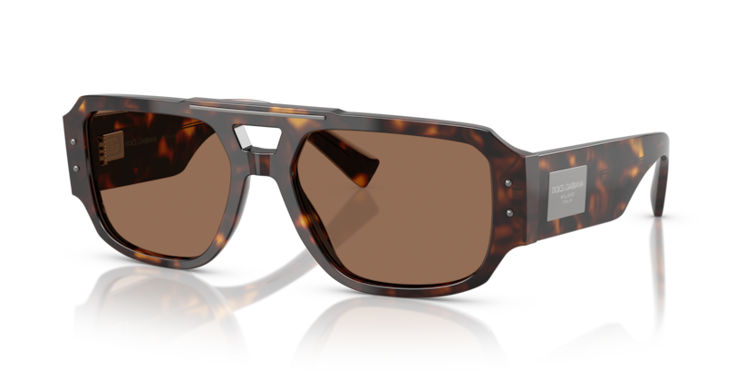 Dolce & Gabbana DG4482  Sunglasses