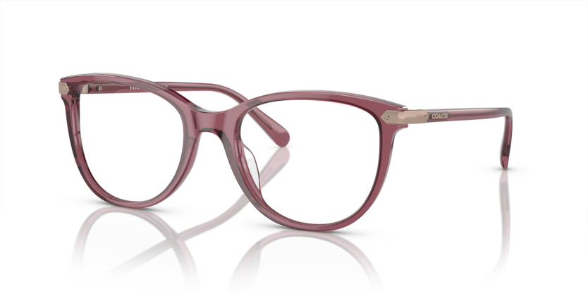 Coach HC6220F  Eyeglasses
