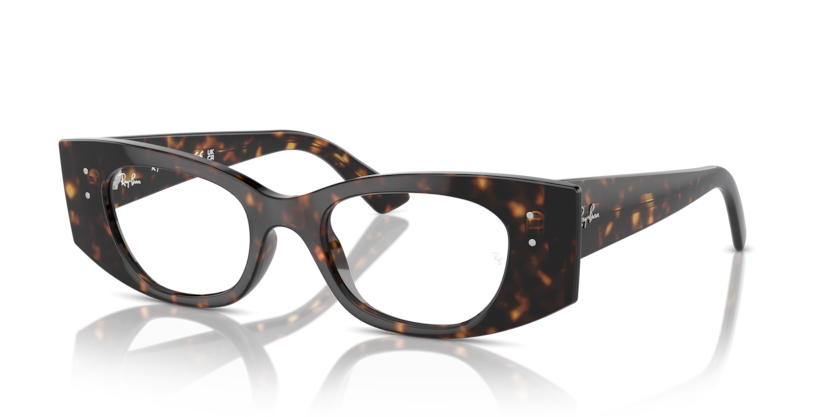 Ray-Ban Vista RX7327 Kat Eyeglasses