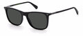 Polaroid PLD 2109/S Sunglasses