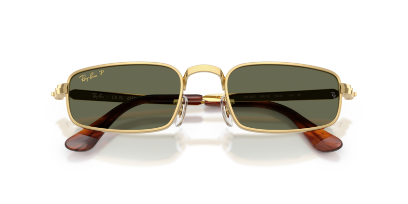 Ray-Ban RB3927  Sunglasses