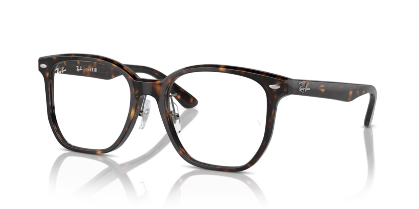 Ray-Ban Vista RX5425D  Eyeglasses