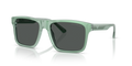 Emporio Armani EA4232  Sunglasses