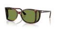 Persol PO0005  Sunglasses