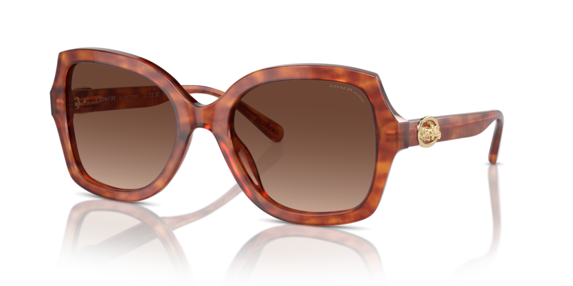 Coach HC8295 L1147 Sunglasses