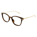 Chloé CH0219OA Eyeglasses