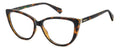 Polaroid PLD D543 Eyeglasses