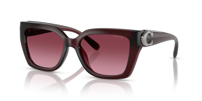 Coach HC8408U Cw195 Sunglasses