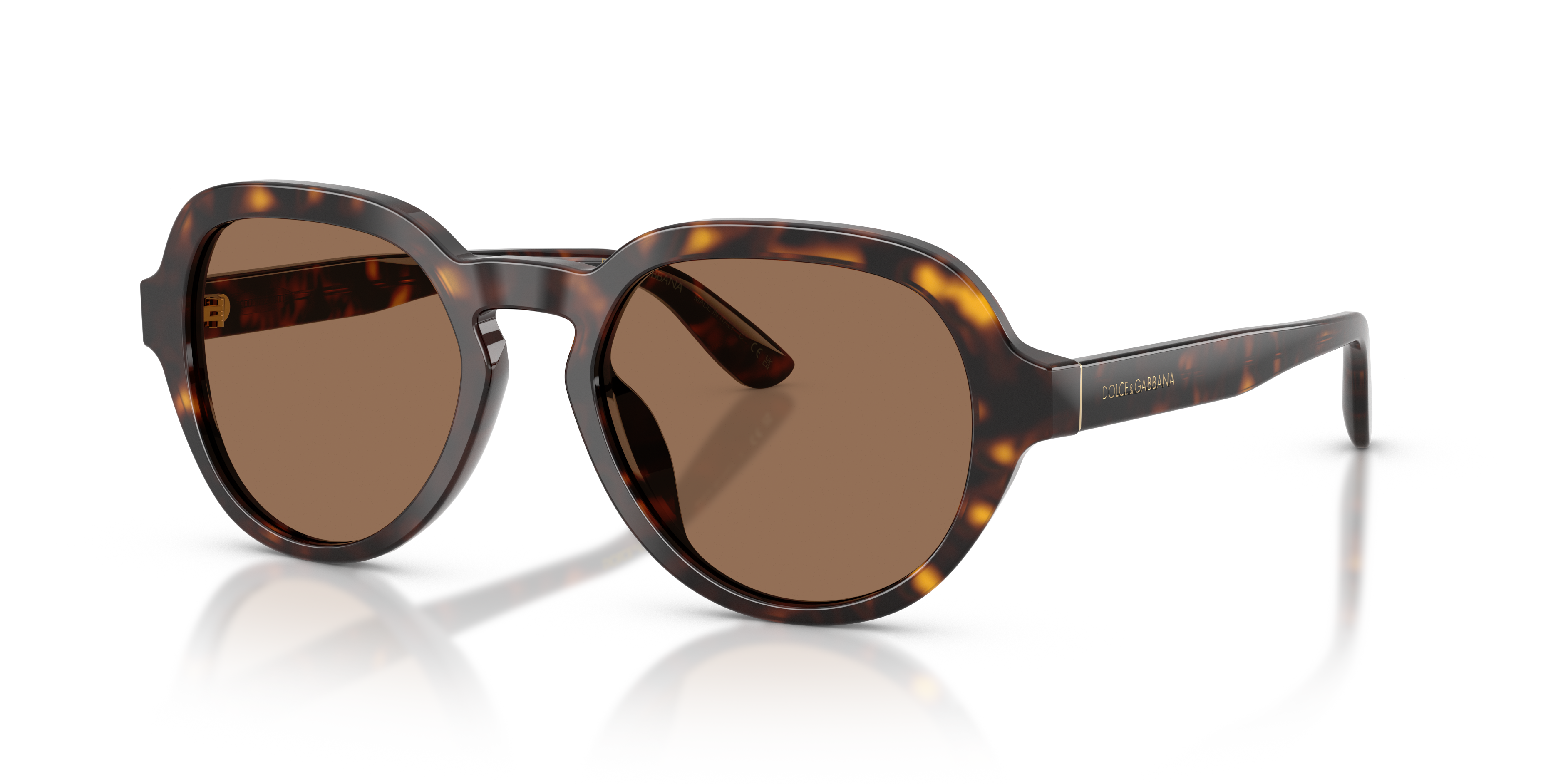Dolce & Gabbana DG4567  Sunglasses