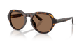 Dolce & Gabbana DG4567  Sunglasses