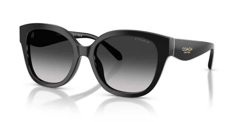 Coach HC8438U Cby94 Sunglasses