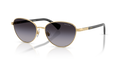 Ralph RA4150  Sunglasses
