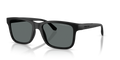 Arnette AN4378  Sunglasses