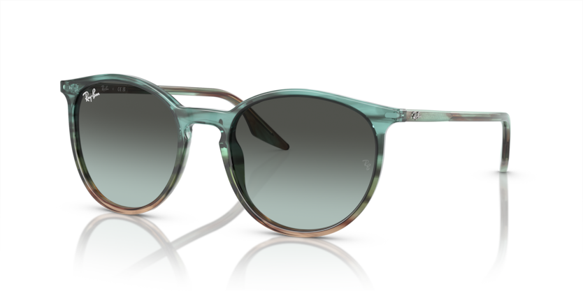 Ray-Ban RB2204  Sunglasses