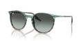 Ray-Ban RB2204  Sunglasses
