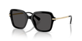 Swarovski SK6040  Sunglasses