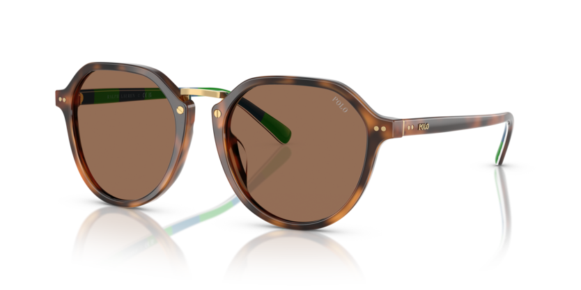 Polo PH4223U  Sunglasses
