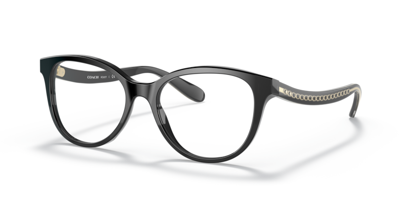 Coach HC6177  Eyeglasses