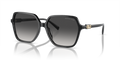 Michael Kors MK2196F Jasper Sunglasses