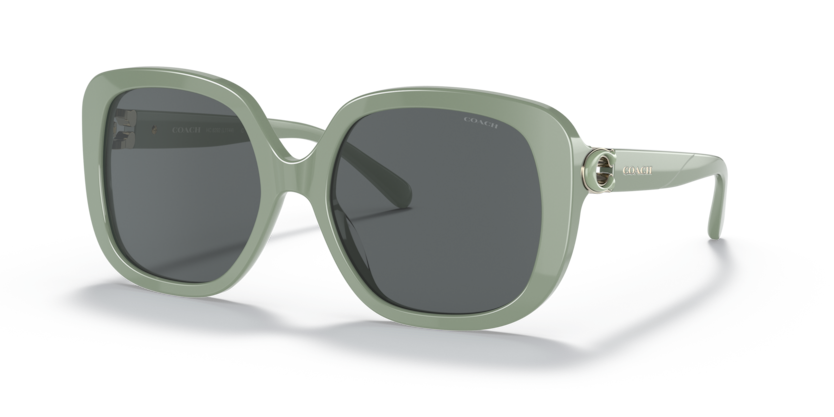 Coach HC8292 L1144 Sunglasses