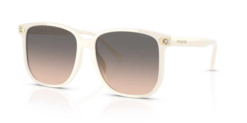 Coach HC8413BD Cw419 Sunglasses