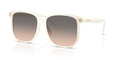 Coach HC8413BD Cw419 Sunglasses