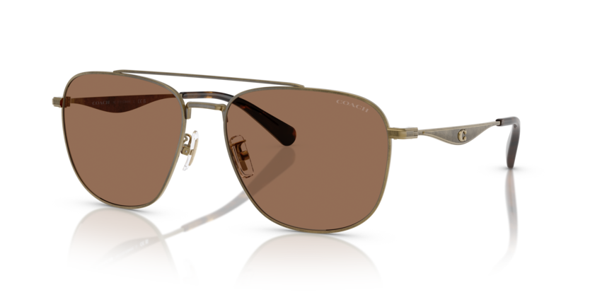 Coach HC7172 Cw404 Sunglasses