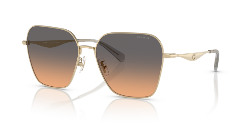Coach HC7168 Cw189 Sunglasses