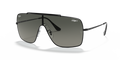 Ray-Ban RB3697 Wings Ii Sunglasses