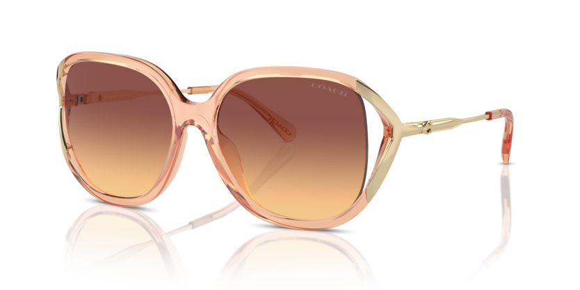 Coach HC8396U Cr620 Sunglasses